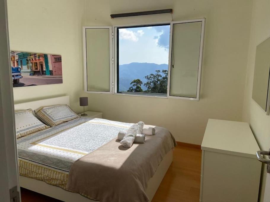 הוילה Santo Antonio da Serra The Hideaway Retreat מראה חיצוני תמונה